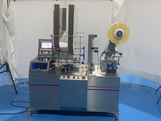 PLC Kontrol 1.5KW Otomatik İçme Samanı Paketleme Makinesi Çanta Tipi